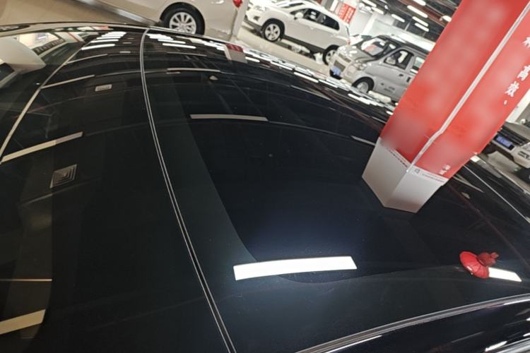 Used Tesla Model 3 2022 Rear-Wheel-Drive Version Roof