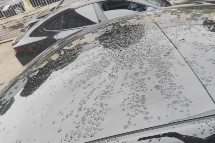 Used Tesla Model 3 2022 Rear-Wheel-Drive Version Roof