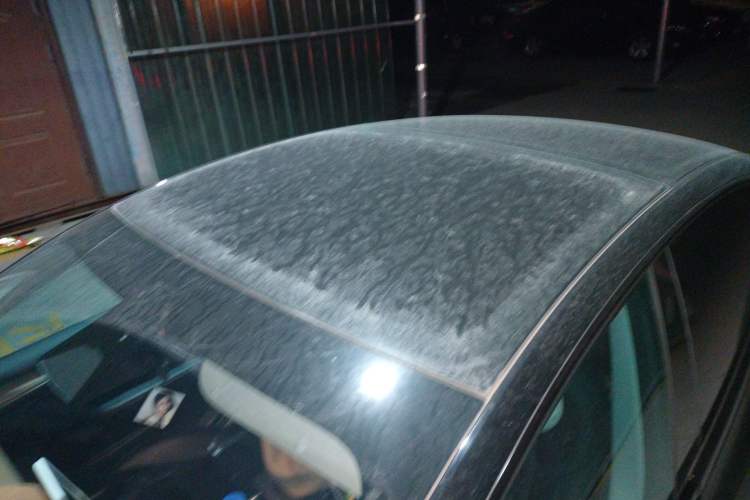Used Tesla Model 3 2022 Rear-Wheel-Drive Version Roof