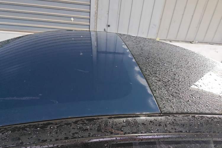 Used Tesla Model 3 2022 Rear-Wheel-Drive Version Roof