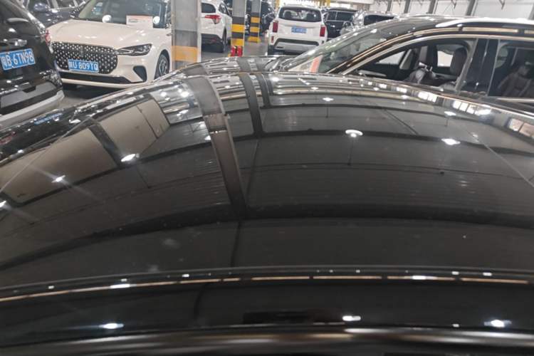 Used Tesla Model 3 2022 Rear-Wheel-Drive Version Roof