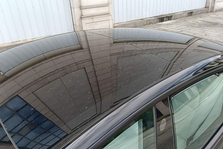 Used Tesla Model 3 2022 Rear-Wheel-Drive Version Roof