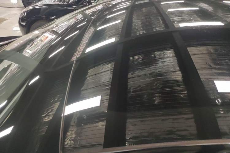 Used Tesla Model 3 2022 Rear-Wheel-Drive Version Roof