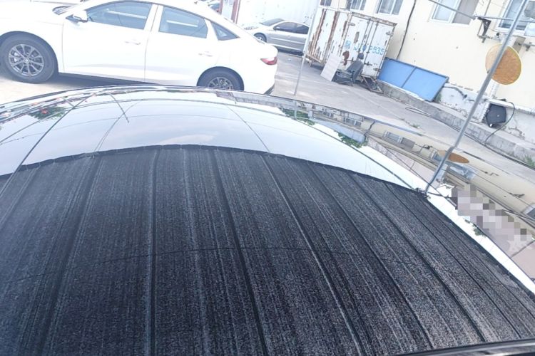 Used Tesla Model 3 2022 Rear-Wheel-Drive Version Roof