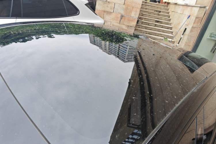 Used Tesla Model 3 2022 Rear-Wheel-Drive Version Roof