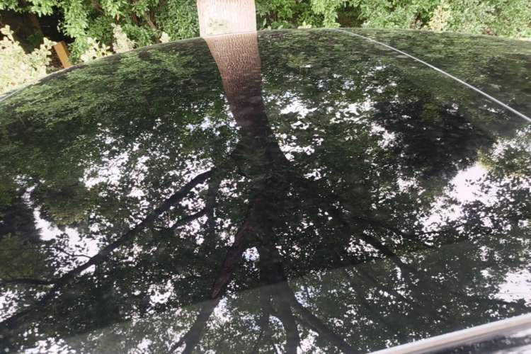 Used Tesla Model 3 2022 Rear-Wheel-Drive Version Roof