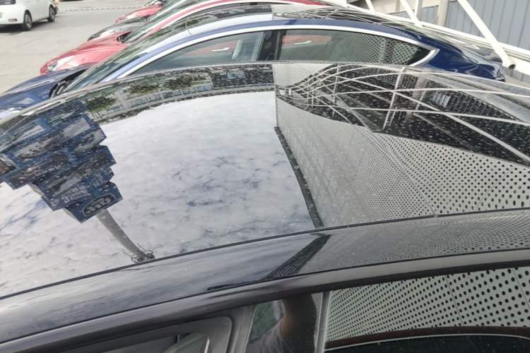 Used Tesla Model 3 2022 Rear-Wheel-Drive Version Roof