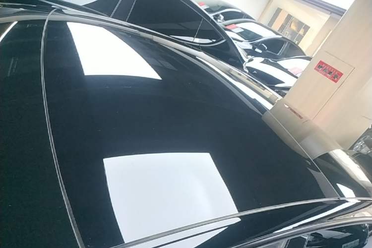 Used Tesla Model 3 2022 Rear-Wheel-Drive Version Roof