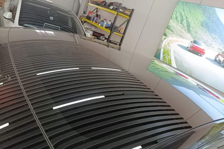 Used Tesla Model 3 2022 Rear-Wheel-Drive Version Roof