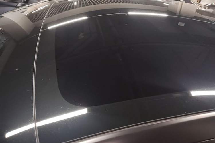 Used Tesla Model 3 2022 Rear-Wheel-Drive Version Roof