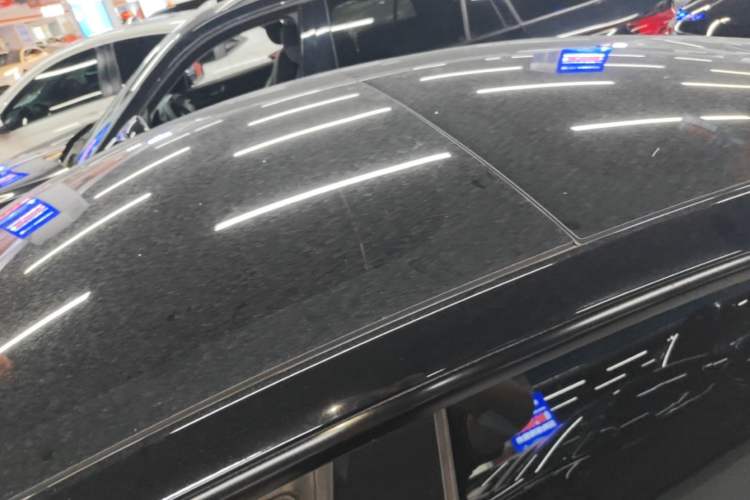 Used Tesla Model 3 2022 Rear-Wheel-Drive Version Roof
