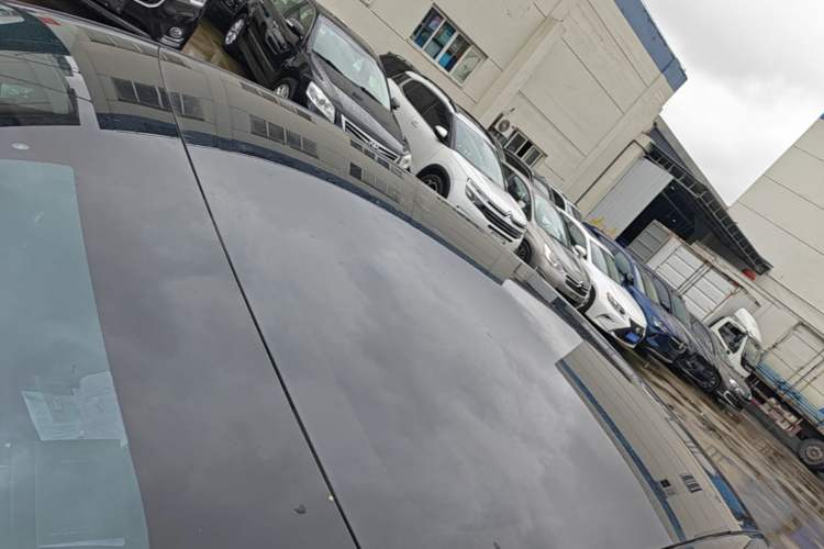 Used Tesla Model 3 2022 Rear-Wheel-Drive Version Roof