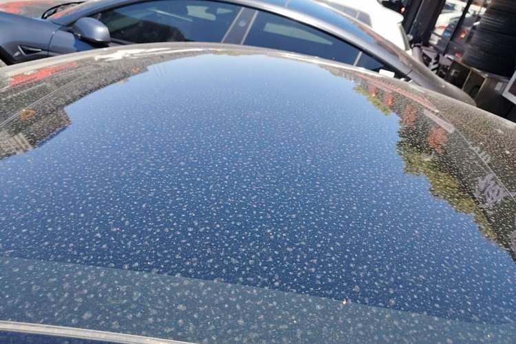 Used Tesla Model 3 2022 Rear-Wheel-Drive Version Roof