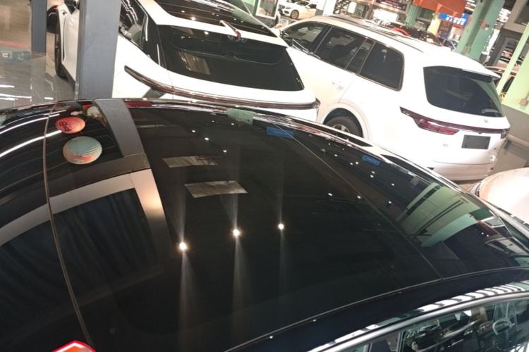 Used Tesla Model 3 2022 Rear-Wheel-Drive Version Roof