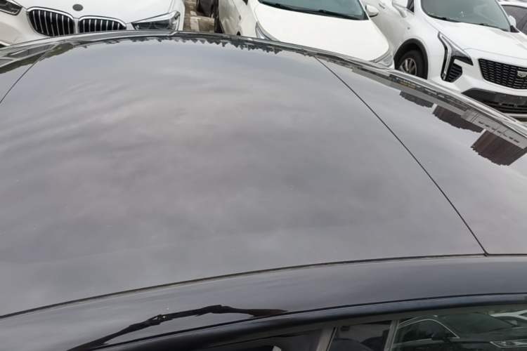 Used Tesla Model 3 2022 Rear-Wheel-Drive Version Roof