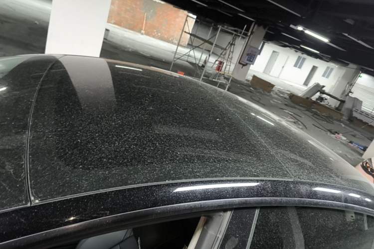Used Tesla Model 3 2022 Rear-Wheel-Drive Version Roof