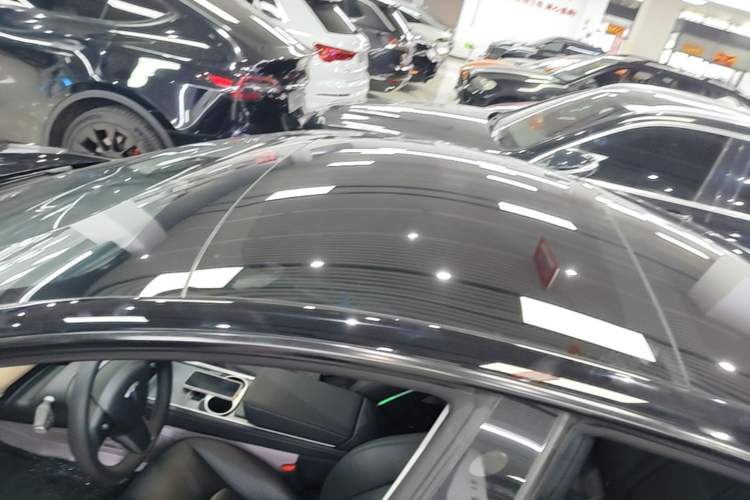 Used Tesla Model 3 2022 Rear-Wheel-Drive Version Roof