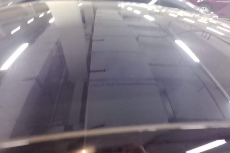 Used Tesla Model 3 2022 Rear-Wheel-Drive Version Roof