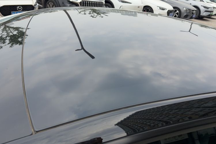 Used Tesla Model 3 2022 Rear-Wheel-Drive Version Roof