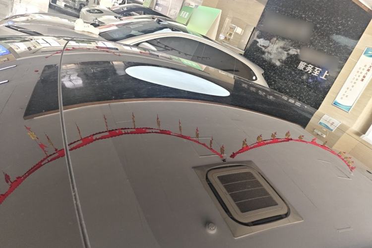 Used Tesla Model 3 2022 Rear-Wheel-Drive Version Roof