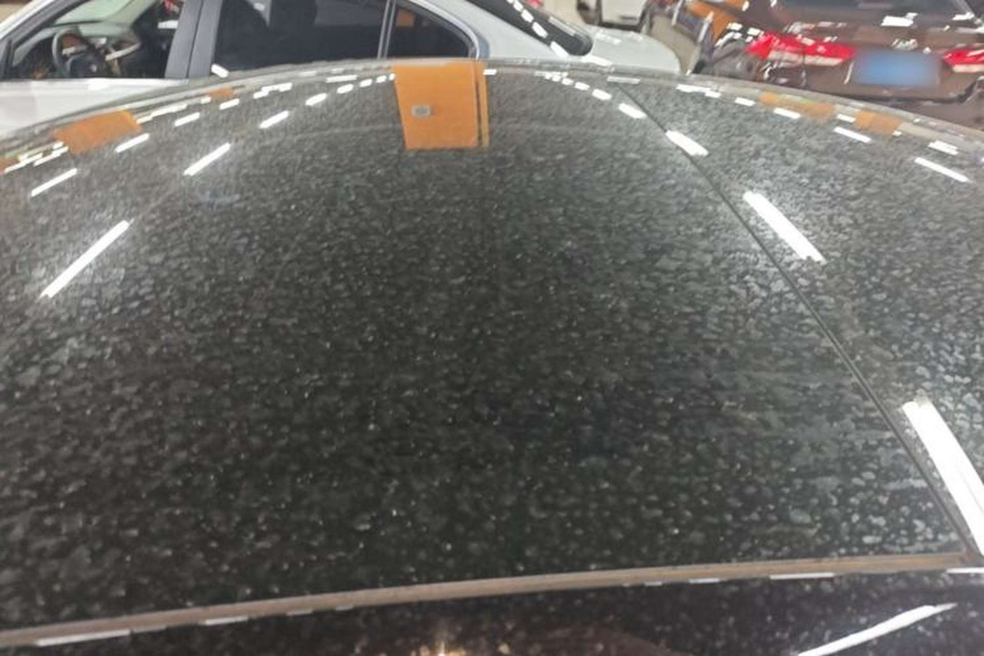 Used Tesla Model 3 2022 Rear-Wheel-Drive Version Roof