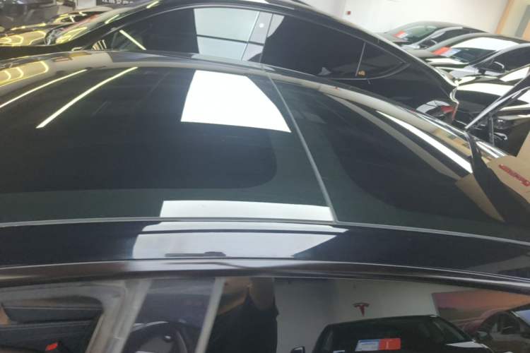 Used Tesla Model 3 2022 Rear-Wheel-Drive Version Roof