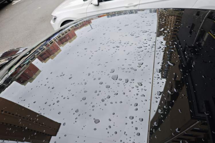 Used Tesla Model 3 2022 Rear-Wheel-Drive Version Roof