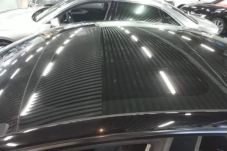Used Tesla Model 3 2022 Rear-Wheel-Drive Version Roof