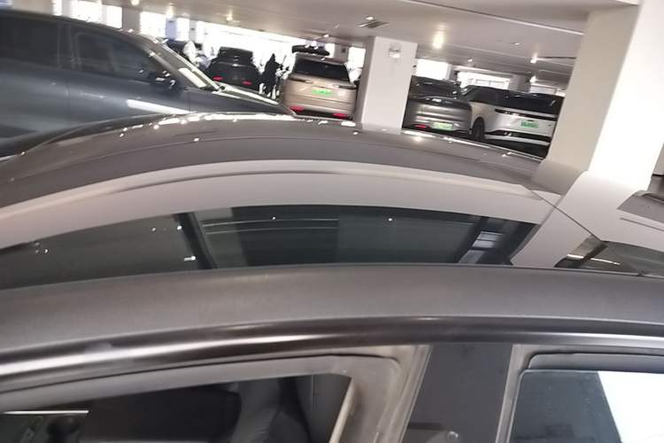 Used Tesla Model 3 2022 Rear-Wheel-Drive Version Roof