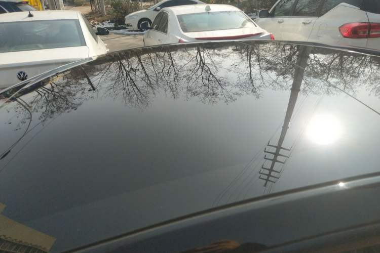 Used Tesla Model 3 2022 Rear-Wheel-Drive Version Roof