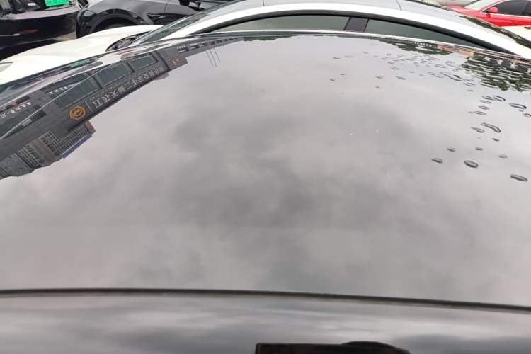Used Tesla Model 3 2022 Rear-Wheel-Drive Version Roof