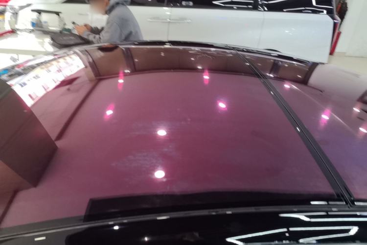Used Tesla Model 3 2022 Performance High-Performance All-Wheel-Drive Version Roof