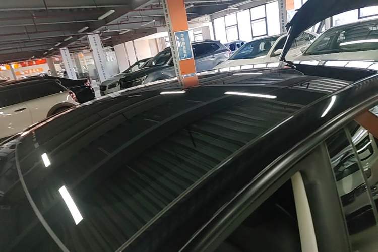 Used Tesla Model 3 2022 Rear-Wheel-Drive Version Roof