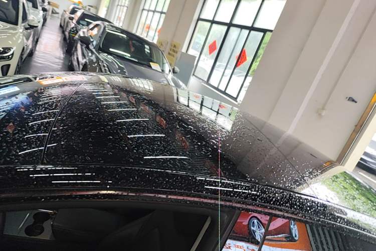 Used Tesla Model 3 2022 Rear-Wheel-Drive Version Roof
