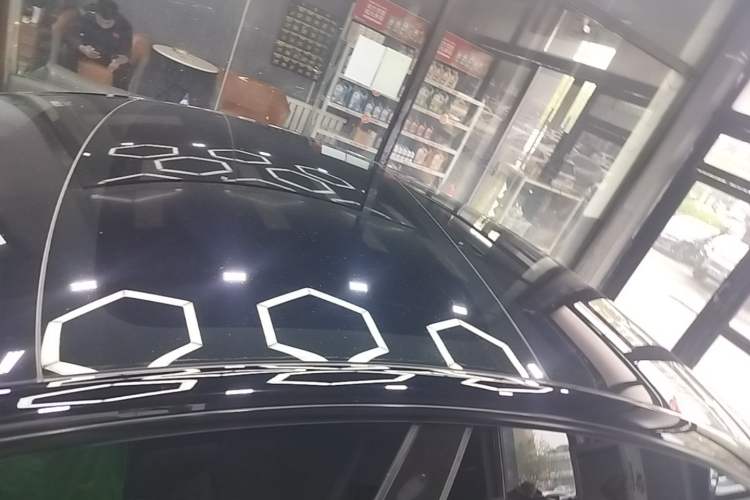Used Tesla Model 3 2022 Rear-Wheel-Drive Version Roof