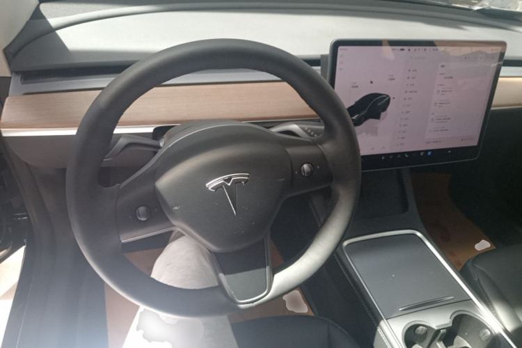 Used Tesla Model 3 2022 Rear-Wheel-Drive Version Steering Wheel
