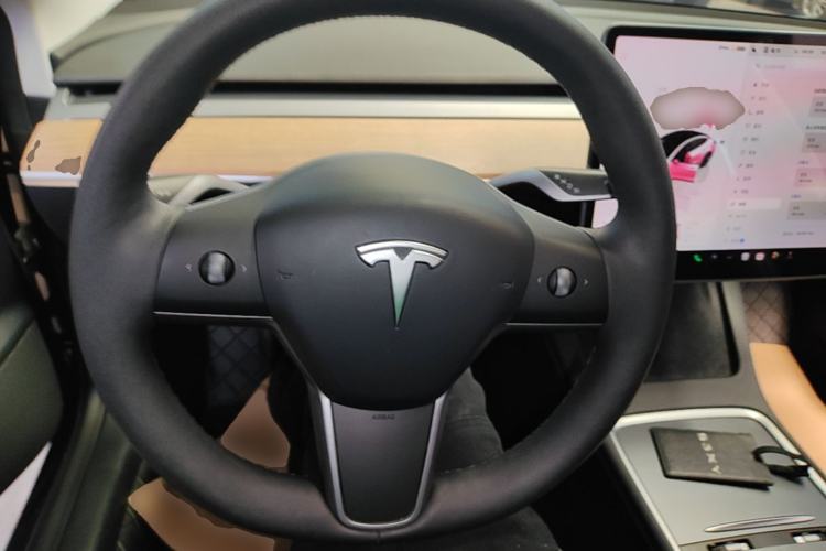 Used Tesla Model 3 2022 Rear-Wheel-Drive Version Steering Wheel