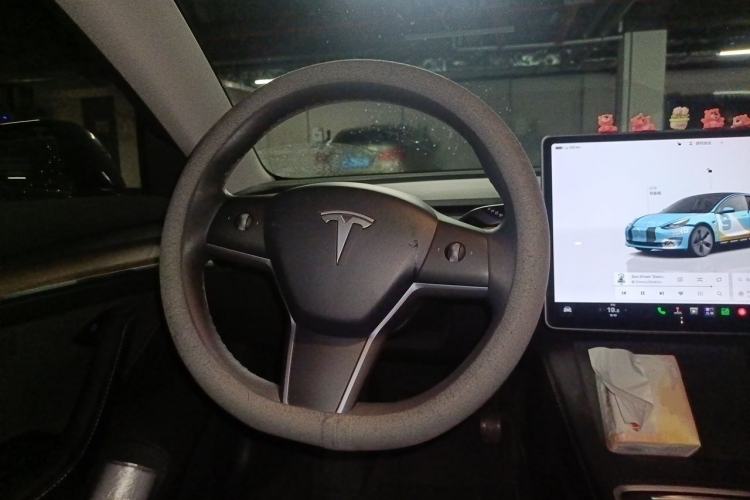 Used Tesla Model 3 2022 Rear-Wheel-Drive Version Steering Wheel