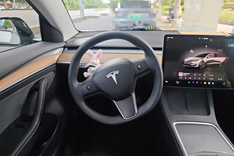 Used Tesla Model 3 2022 Rear-Wheel-Drive Version Steering Wheel