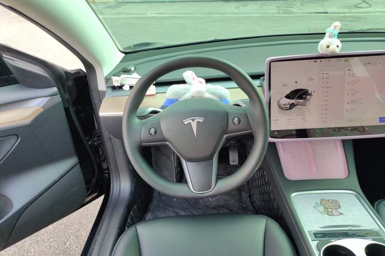 Used Tesla Model 3 2022 Rear-Wheel-Drive Version Steering Wheel