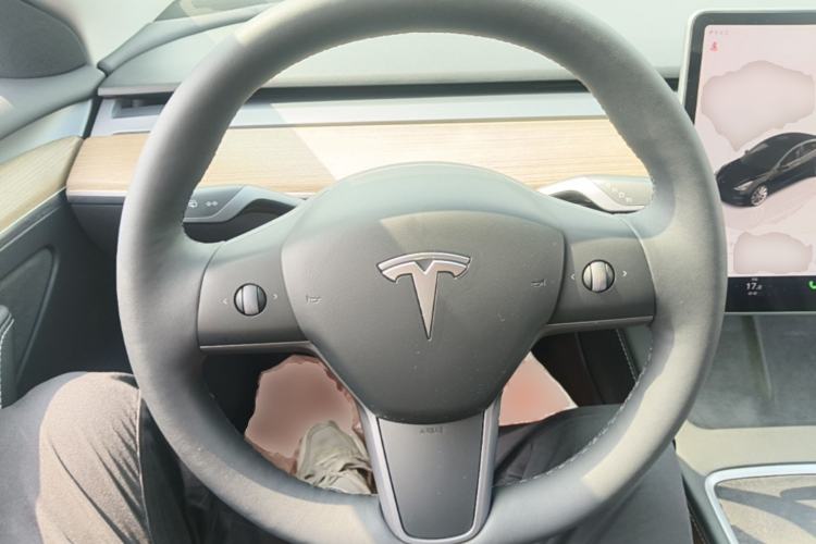 Used Tesla Model 3 2022 Rear-Wheel-Drive Version Steering Wheel