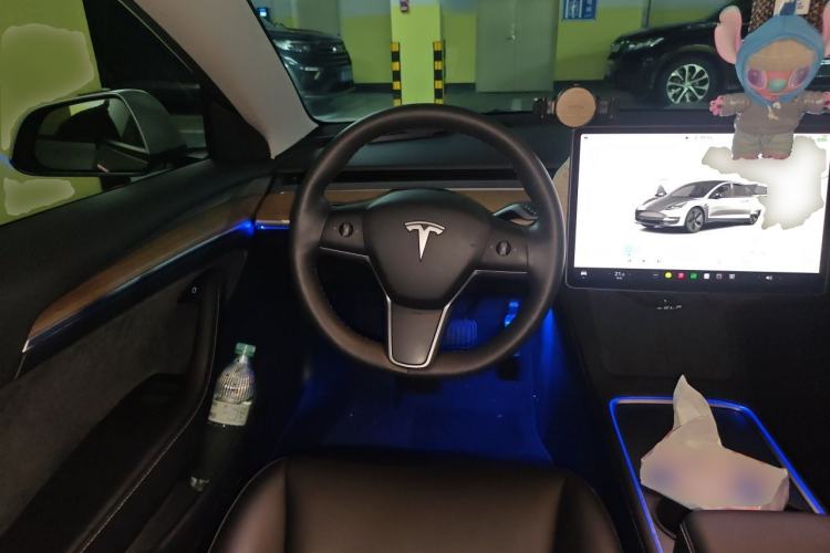 Used Tesla Model 3 2022 Rear-Wheel-Drive Version Steering Wheel
