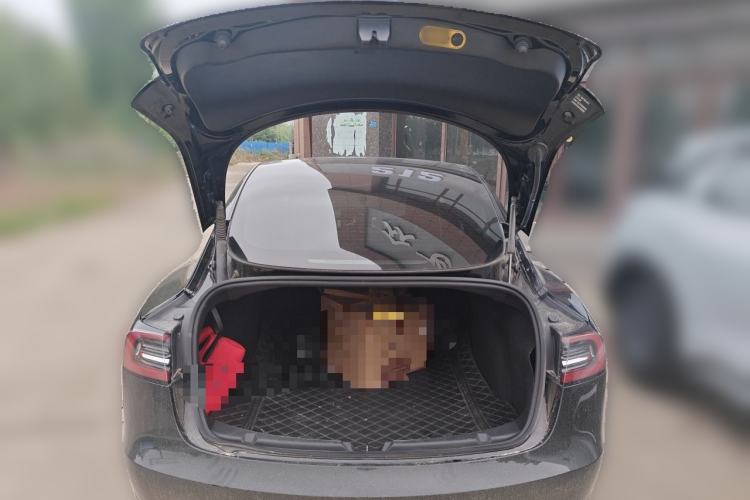 Used Tesla Model 3 2022 Rear-Wheel-Drive Version Trunk