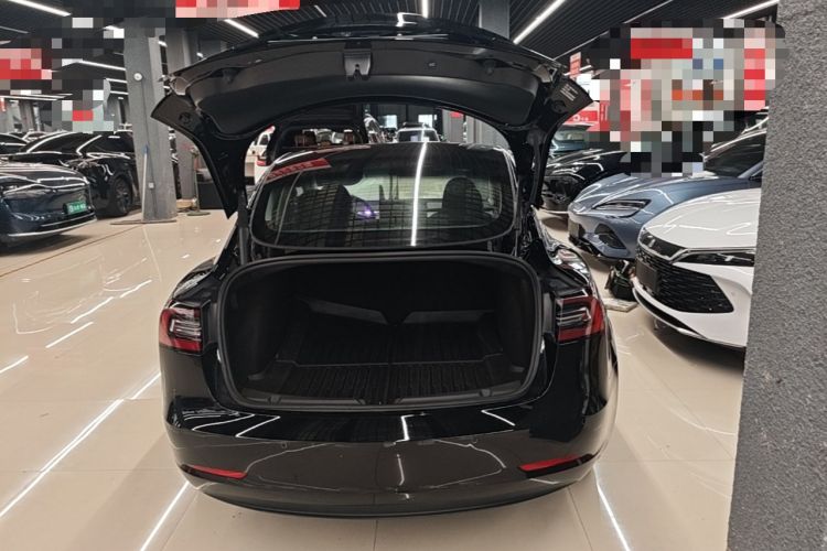 Used Tesla Model 3 2022 Rear-Wheel-Drive Version Trunk
