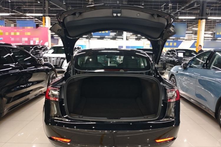 Used Tesla Model 3 2022 Rear-Wheel-Drive Version Trunk