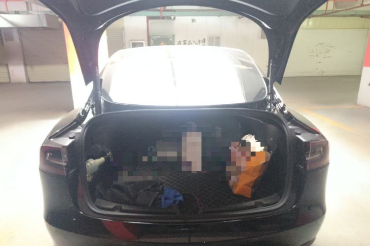 Used Tesla Model 3 2022 Performance High-Performance All-Wheel-Drive Version