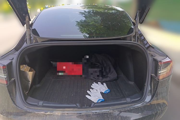 Used Tesla Model 3 2022 Rear-Wheel-Drive Version Trunk
