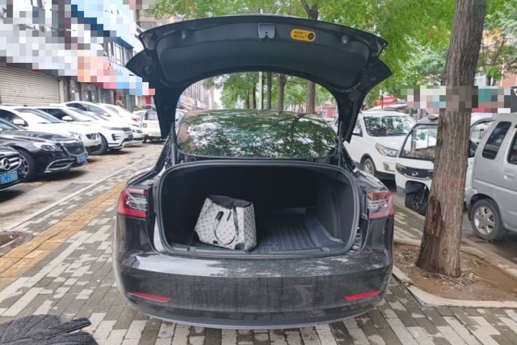 Used Tesla Model 3 2022 Rear-Wheel-Drive Version Trunk