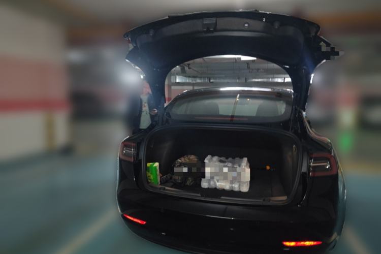 Used Tesla Model 3 2022 Rear-Wheel-Drive Version Trunk