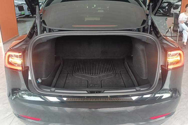 Used Tesla Model 3 2022 Rear-Wheel-Drive Version Trunk